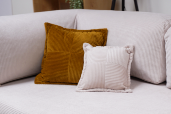 🎁 Gift Small Pillow Case (100% off)