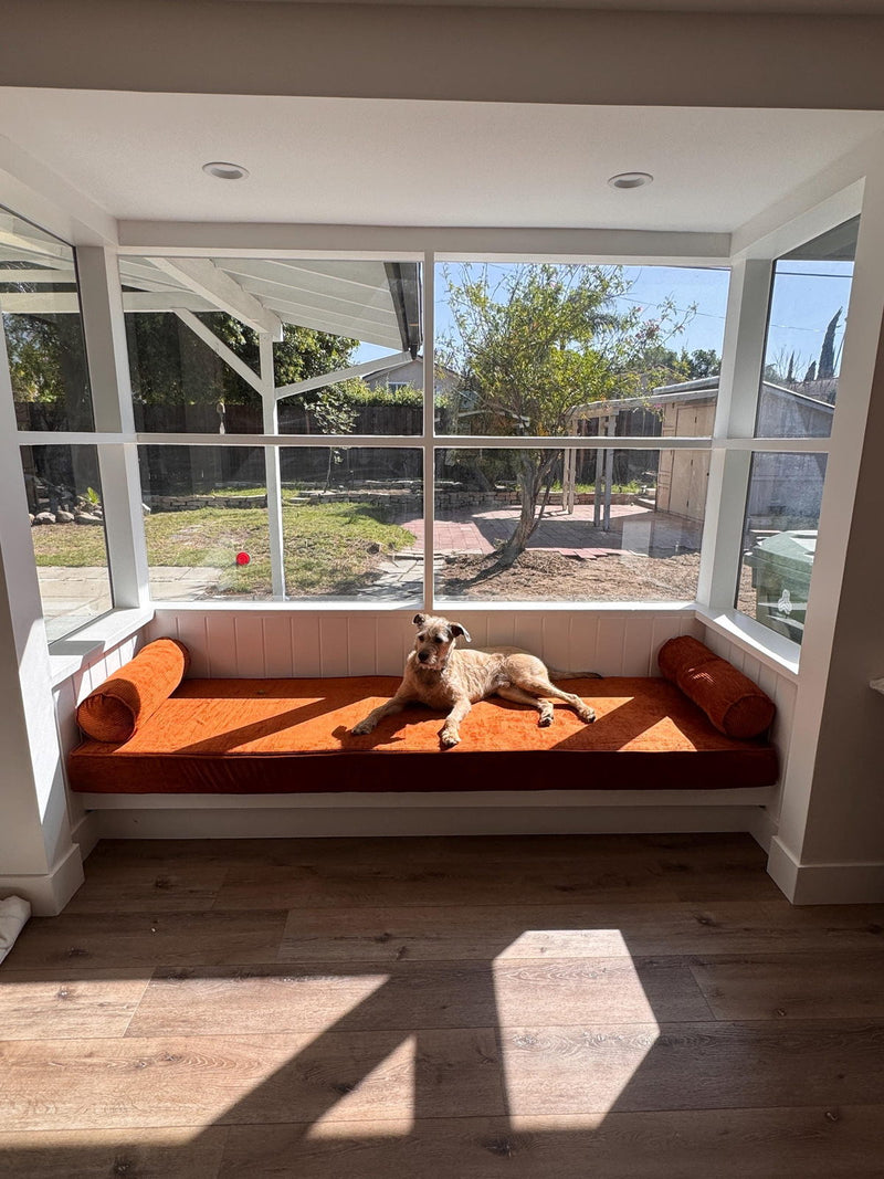 Customer photo: orange window seat cushion with two matching bolsters and a dog resting on it
