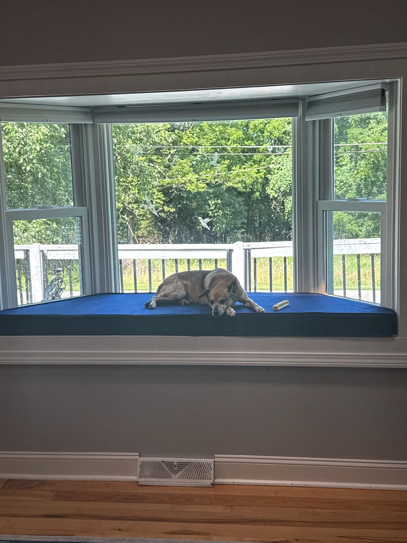Customer photo: blue cushion along an angled bay window seat with a dog lying on it