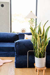Canyon Sofa Bleu marine